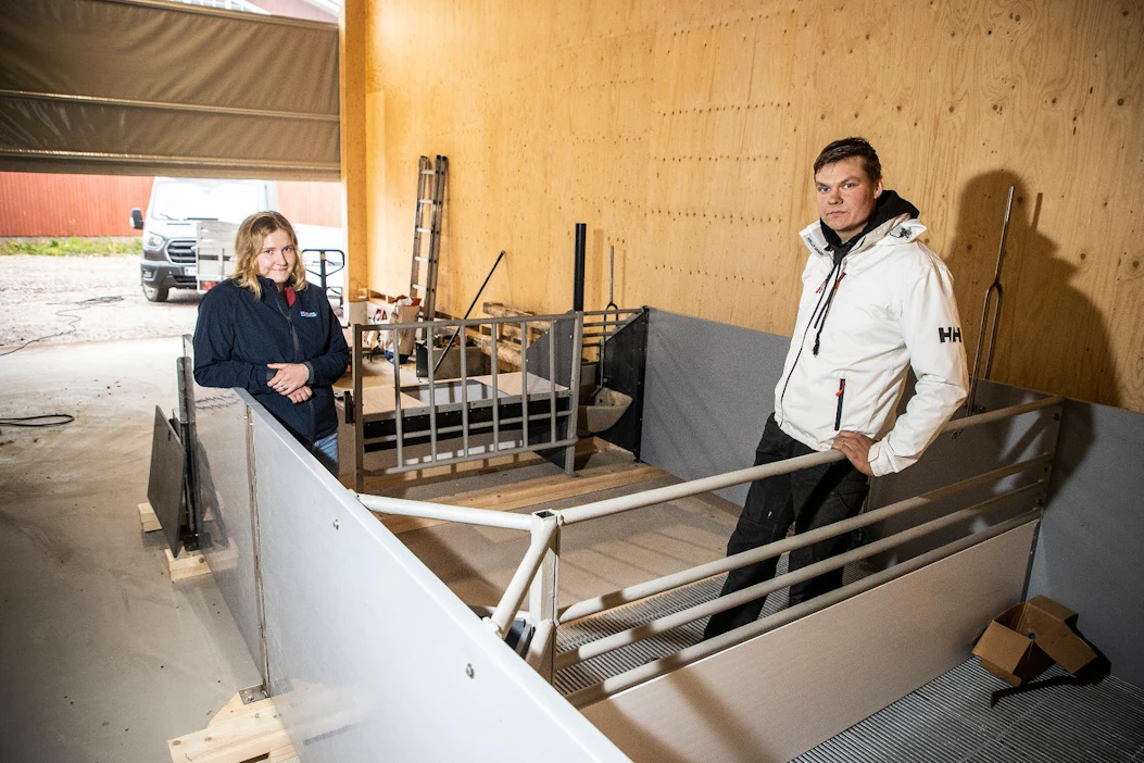 Ilkka Mäkitalon suunnittelemassa vapaaporsituskarsinassa ei ole minkäänlaista häkkirakennetta. Emakko on koko ajan vapaana. Kuvan karsina oli tuotu halliin näytille ennen tilan toissa lauantain avointen ovien päivää.