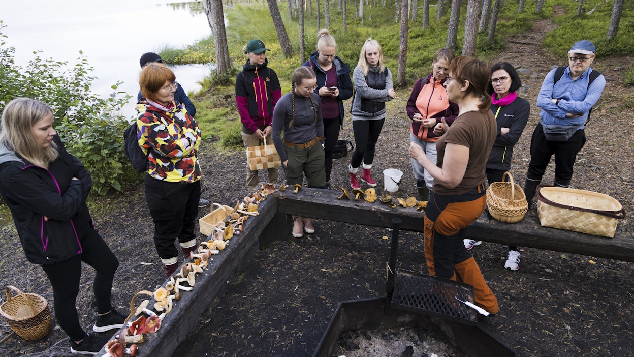 Luonnontuotekouluttaja Annikka Kujala vetää syksyisin sienikursseja Oulun seudulla.