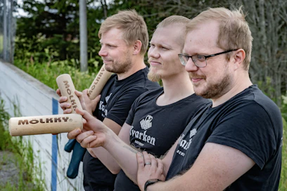 Vaasalais-mustasaarelainen mölkkyjoukkue Terassimölkky Kvarken Edition osallistuu ensi viikonloppuna Hyvinkäällä lajin MM-kisoihin. Joukkueen rungon muodostavat Jussi Mäkelä (kuvassa vasemmalla), Ville Toivonen ja Jarmo Mäkelä.