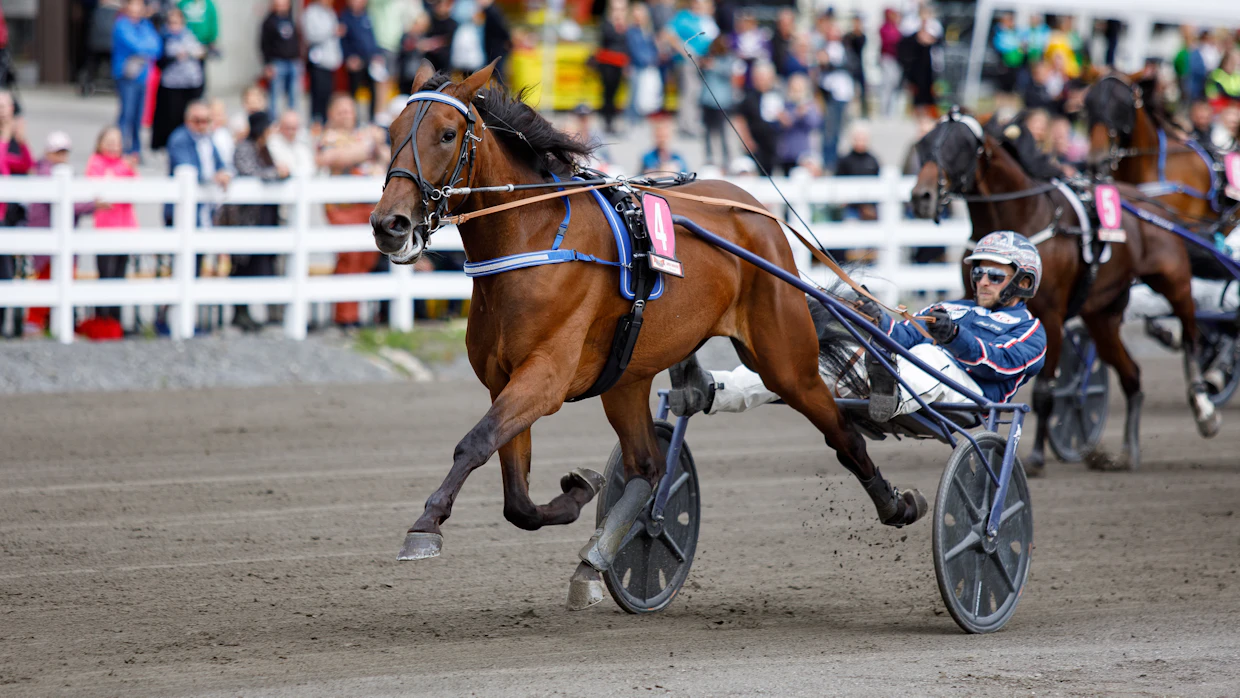 Magic Madonnan kesän tähtihetkiin kuuluu Janne Korven ohjastama ykkössija Eugen Pylvänäisen Muistoajossa.