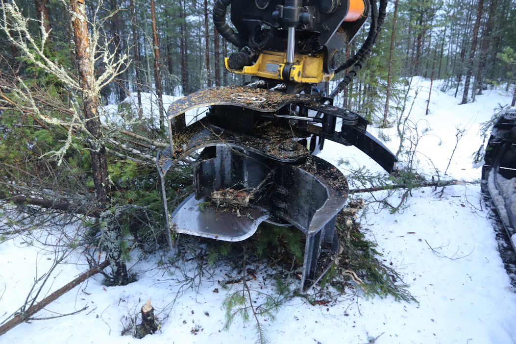 Bioenergia ry pelkää puun energiakäytön verotuksen kiristyksen kasvattavan energiapuun vientiä.