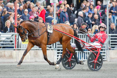Derbyn ja mm. viime pyhänä Copenhagen Cupin voittanut Cyber Lane on upea ilmestys ja nyt myös Elitloppet-hevonen.