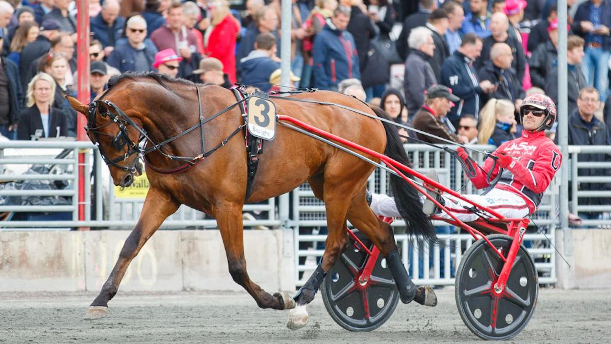 Derbyn ja mm. viime pyhänä Copenhagen Cupin voittanut Cyber Lane on upea ilmestys ja nyt myös Elitloppet-hevonen.