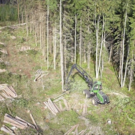 Metsät ovat täyskäytössä, jos metsäteollisuuden suunnittelemat investoinnit toteutuvat, toteaa metsäjohtaja Juha Mäntylä Metsä Groupista. Kuvassa päätehakkuuta syyskuun alussa Kannonkoskella. sami karppinen
