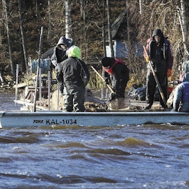 Ammattiopisto Livian opiskelijat tutustuivat Hirsijärvellä yhden päivän ajan tehokalastukseen. Kuvassa nostetaan veneeseen yhtä järven pohjoispään kuudesta apajasta. Siinä saatiin poistettua särkikaloja noin 2000 kiloa. Kari Salonen