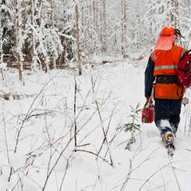 Talvi on metsurityössä työskentelyolosuhteiltaan haastavin ja kustannuksiltaan kallein ajanjakso, Metsähallitus toteaa.