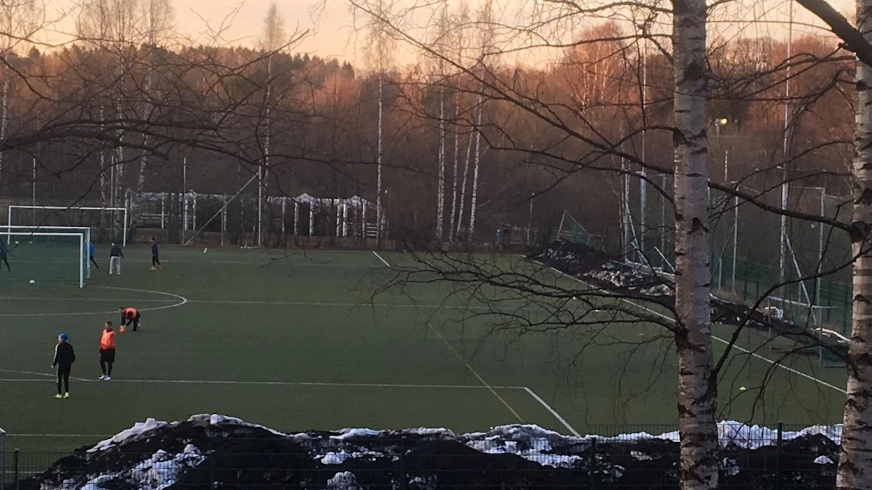 Helsinkiläisen pallokentän laidalla on lumikinoksia, jotka ovat mustuneita tekonurmen rengasrouheesta. Kuva kevättalvelta 2018.