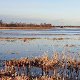 Lapuanjoen Liinamaassa vesi on noussut alavimmille pelloille ja vedenpinnan ennustetaan nousevan vielä vähän keskiviikon aikana. Kuvassa tulvatilanne paikalta viime helmikuussa.