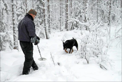 Sami Karppinen Veli-Pekka Kauppinen ja Piki etsivät ahman viemää riistakameraa Kannonkoskella.