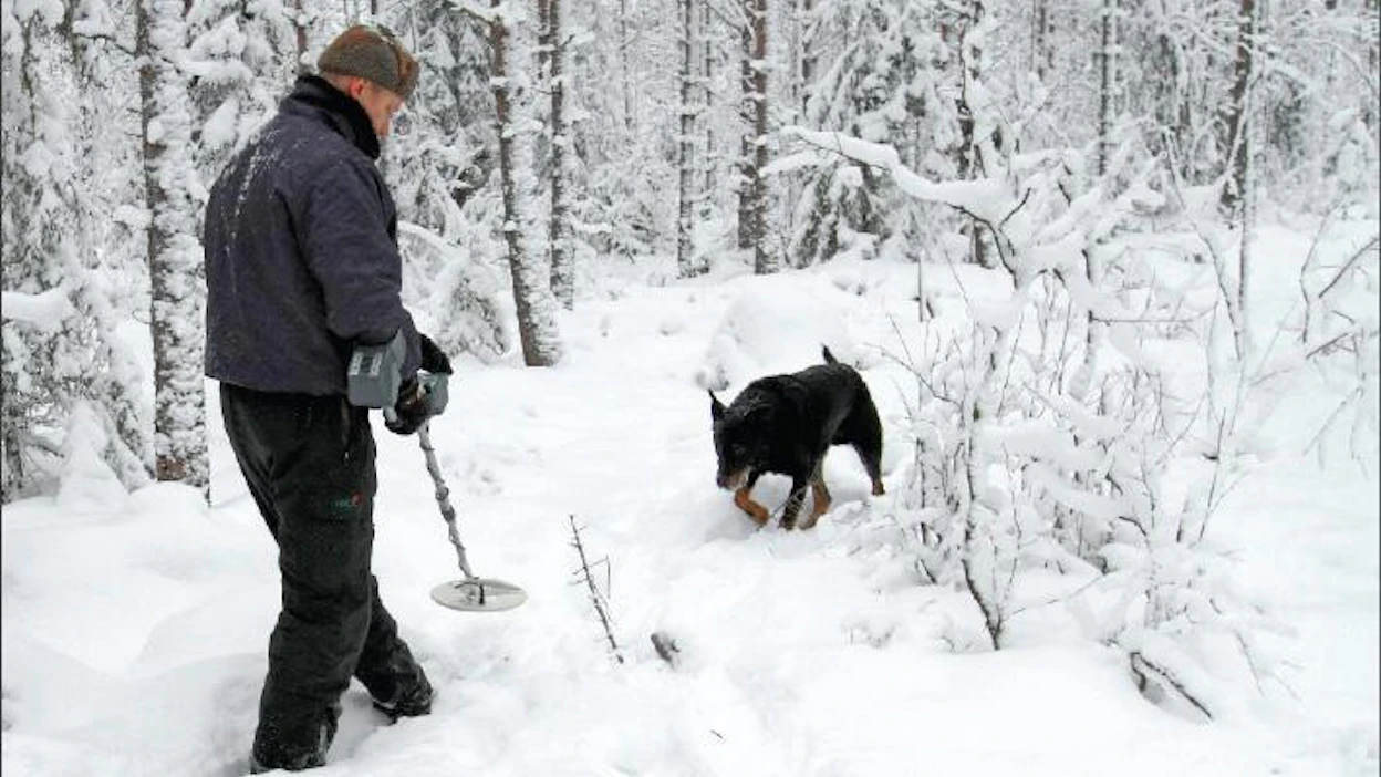 Sami Karppinen Veli-Pekka Kauppinen ja Piki etsivät ahman viemää riistakameraa Kannonkoskella.