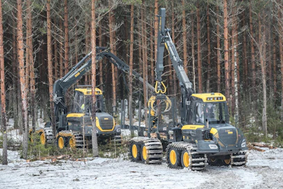 Hakkuut vaikuttavat hiilinieluihin, joiden määrästä Luonnonvarakeskus kertoo uusia tietoja perjantaina. Ennakkotietojen mukaan hiilinielun määrä putoaisi reilusti aikaisempaan arvioon verrattuna.