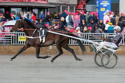 Petri Salmelan tallin huippuori Makethemark jatkaa kautta suunnitellusti, vaikka viime pyhän Rommen startti oli pannukakku. Hevosen vakio-ohjastaja Ulf Ohlsson ei vaatinut ajokiltaan mitään, kun kengitys oli täysin pielessä.