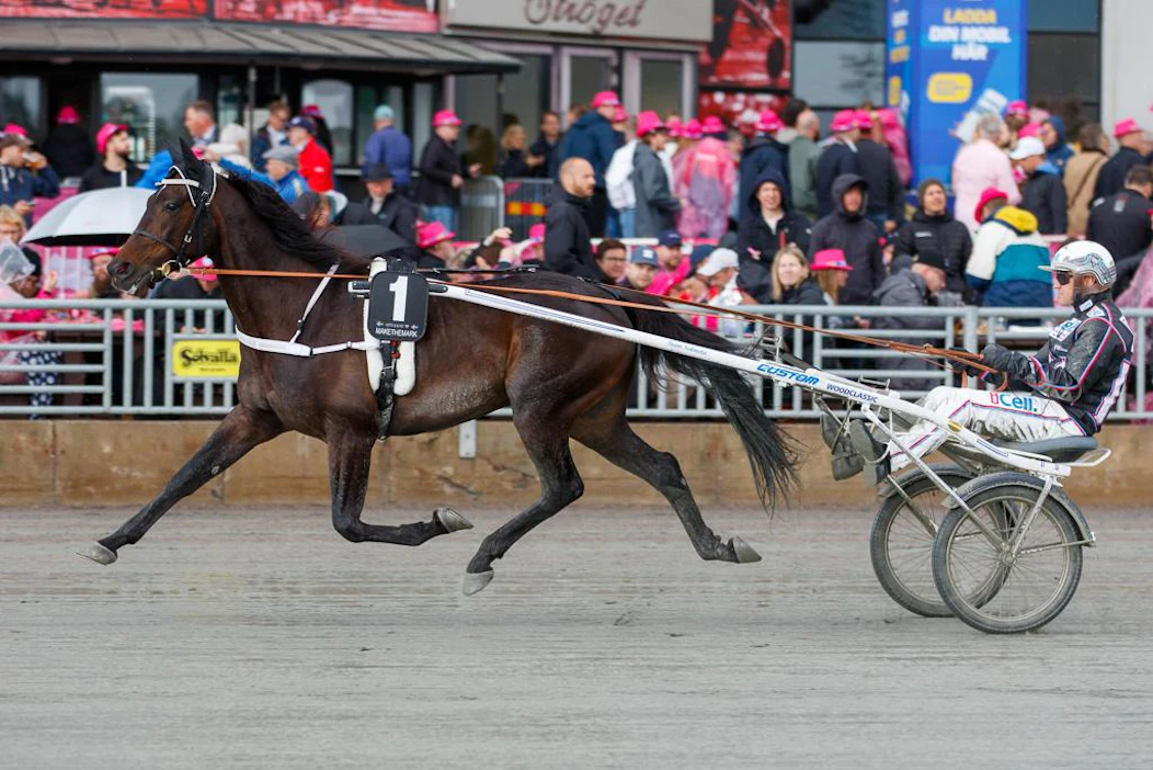 Petri Salmelan tallin huippuori Makethemark jatkaa kautta suunnitellusti, vaikka viime pyhän Rommen startti oli pannukakku. Hevosen vakio-ohjastaja Ulf Ohlsson ei vaatinut ajokiltaan mitään, kun kengitys oli täysin pielessä.
