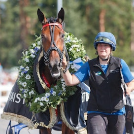 Hevosenhoitaja on tärkeä tekijä hevosen hyvinvoinnin ja menestyksen takana. Kuvassa Hanna Rakkolainen taluttaa Mascate Matchia voittajaseremonioihin.
