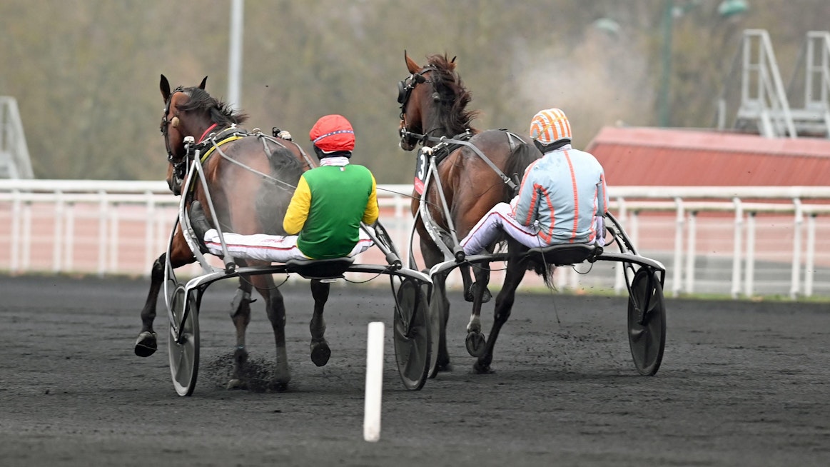 Prix d'Amerique lähestyy ja pysyy otsikoissa. Kuvassa Feydeau Seven/Jean-Michel Bazíre ja Davidson Du Pont/Nicolas Bazíre, jotka molemmat saattavat olla menossa vajaan kahden viikon päästä Euroopan ykköskisaan, vaikka Davidson laukkasi sunnuntaina.