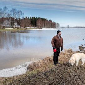 Timo Mäkinen ja Jesse silmäilivät tulvajärveä Ylihärmän Ikolassa tiistaina 30.3. Mäkisen talo näkyy taustalla.