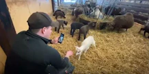 Kynnys tuottajalla ryhtyä videotuokioiden pitoon on matala: älykännykkä periaatteessa riittää.