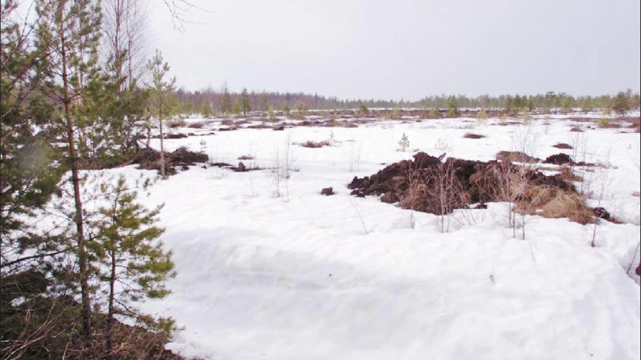 EU-komissio on esittänyt turvemaille raivauskieltoa. Viljelijät ovat eri mieltä. Kari Salonen