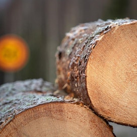 Puun hyvä hinta kannustaa metsänomistajia puukaupoille.
