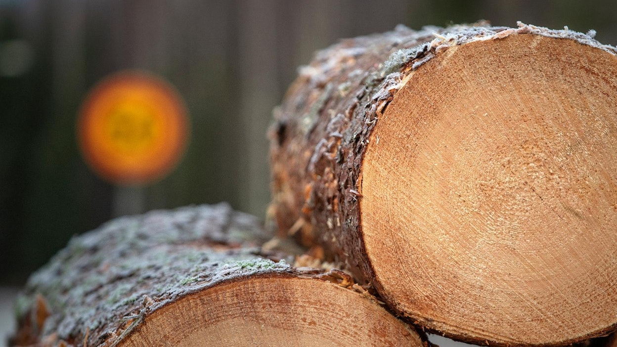 Puun hyvä hinta kannustaa metsänomistajia puukaupoille.