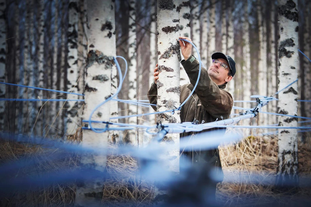 Joensuulaisen Kauko Kärkkäisen suunnitelmissa on moninkertaistaa metsästä saatava tulo luonnontuotteilla, kuten mahlalla.