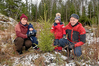Yksivuotias Martta ja kolmevuotias Hilma ovat mielellään Hanna ja Mikko Lumperoisen mukana metsäretkillä. Kolme vuotta sitten istutettu taimikko on ohittanut pituuskasvussa jo Hilman. Tänä vuonna suunnitelmissa ei ole puunmyyntejä, ainoastaan istutusta ja taimikonhoitoa.