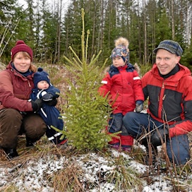 Yksivuotias Martta ja kolmevuotias Hilma ovat mielellään Hanna ja Mikko Lumperoisen mukana metsäretkillä. Kolme vuotta sitten istutettu taimikko on ohittanut pituuskasvussa jo Hilman. Tänä vuonna suunnitelmissa ei ole puunmyyntejä, ainoastaan istutusta ja taimikonhoitoa.