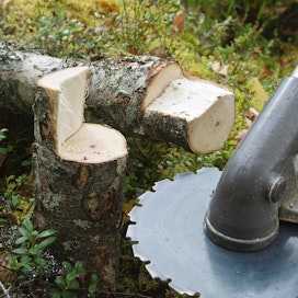 Aarre testasi yhdistelmäraivurit, joilla saatiin myös puita poikki.