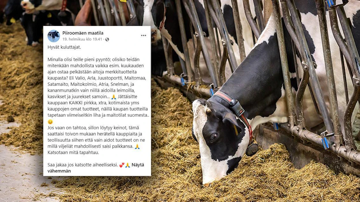 Piiroomäen maatilan päivitys on herättänyt vilkasta keskustelua sosiaalisessa mediassa. Kuvan eläimet eivät liity tapaukseen.