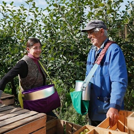 Paula Achrénin puutarhan omenat kerätään isä Jaakon tekemiin kasseihin, ja niistä hedelmät siirretään laatikoihin.  ”Velipoika toi tällaisen Norjasta, siitä se lähti”, Jaakko Achrén muistelee. Nyt kassit ovat käytössä ympäri maata.