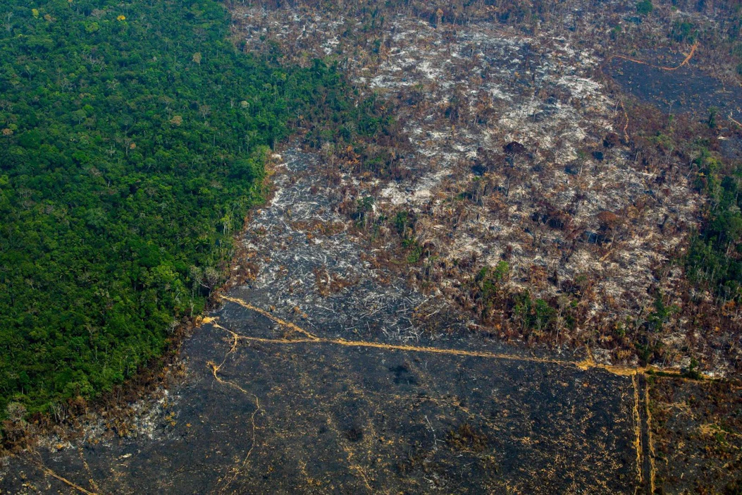 Tämän vuoden ensimmäisten kahdeksan kuukauden aikana Amazonia on tuhottu lähes kaksi kertaa nopeammin kuin samaan aikaan aikaisempana vuonna.