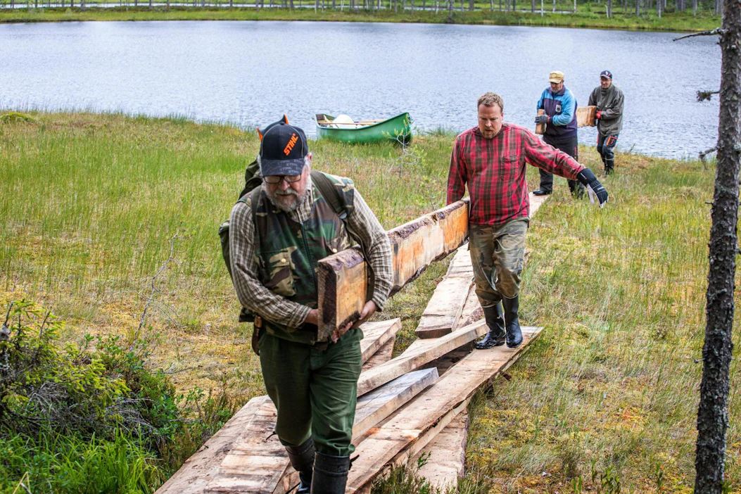 Juhani Romakkaniemi ja Miko Miettinen kantavat rannasta pitkospuiden rakennusta varten lankkuja, jotka Viljo Heiskanen ja Jorma Pihlainen toivat paikalle kanootilla.