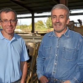 Veljekset Jean-Charles (vas.) ja Didier Blanckaert ovat erittäin tyytyväisiä robottien myötä vähentyneeseen työmäärään. Lehmien 11 500 kilon keskituotos saadaan aikaan appeella, jossa on muun muassa sinimailasta, maissia, sokerijuurikasleikettä sekä pellavarouhetta ja -öljyä.