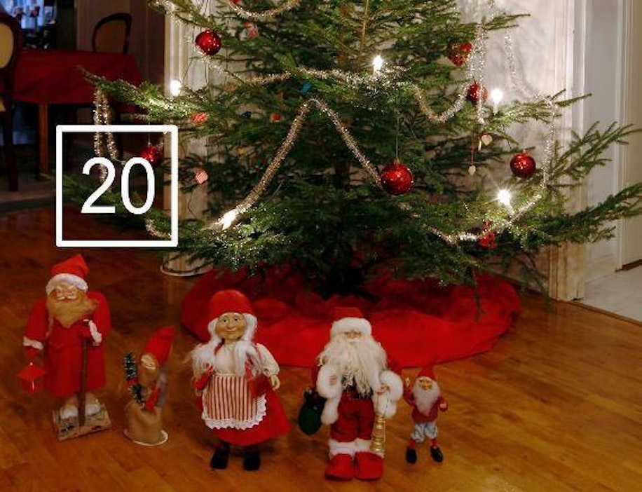 Kuusi ei varise kilokaupalla, kun sitä hoidetaan oikein.