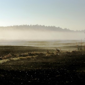 Suomen maatalouden kaikista ilmastopäästöistä puolet on peräisin turvemailta, soille raivatuilta pelloilta.