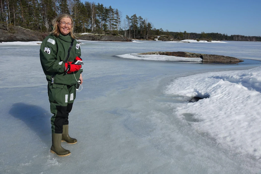"Eläin tulee tai ei tule, mutta silti se kiinnostaa ihmisiä. Tämä on yksi osoitus siitä, että ihmiset tarvitsevat rauhoittumista", toteaa Liisa Rohweder norppakameran suosiosta. Hän osallistui norppalaskentaan Lietvedellä toissa viikonloppuna.