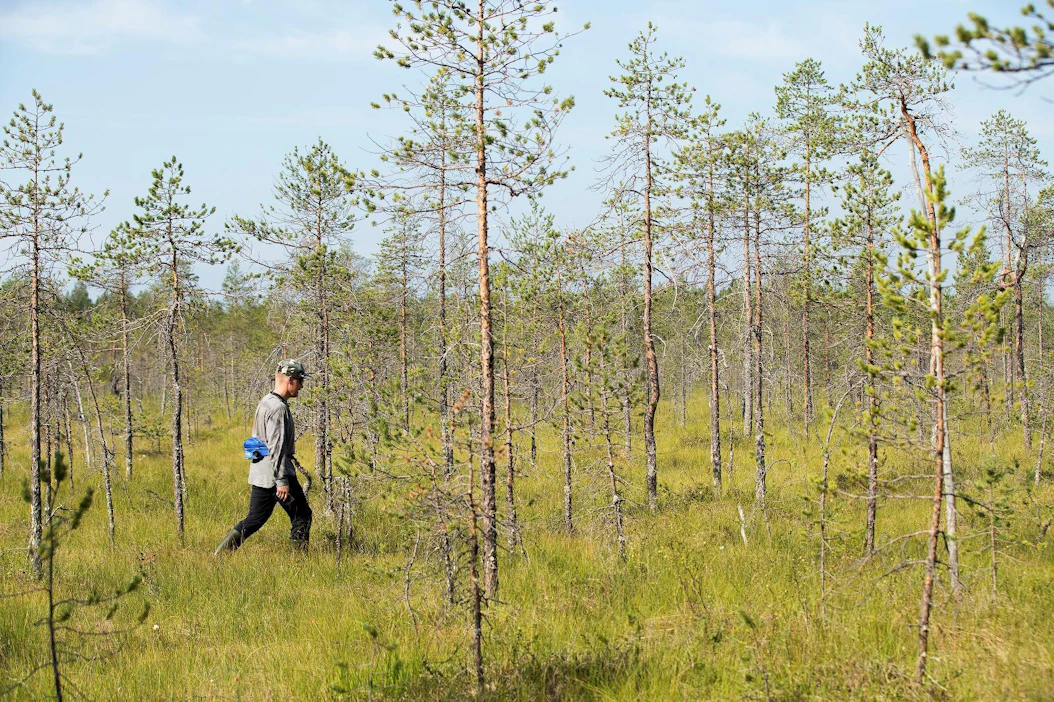 Riistakolmion avulla seurataan metsäriistan runsautta. Sen jokainen sivu on neljän kilometrin pituinen.