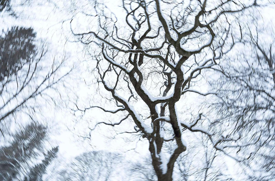 Suomen Metsäyhdistys tutki nuorten suomalaisten metsäsuhdetta sekä metsien käyttöön ja metsäalaan liittyviä mielikuvia.