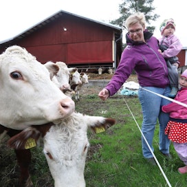 Syksyn sateet ovat vähän virkistäneet karjan laitumia, joita kuivuus on koetellut kovasti, kertoo Milla Ruuhikorpi. Tyttäret Alina (oikealla) ja Ella piipahtivat myös katsomassa herefordeja.