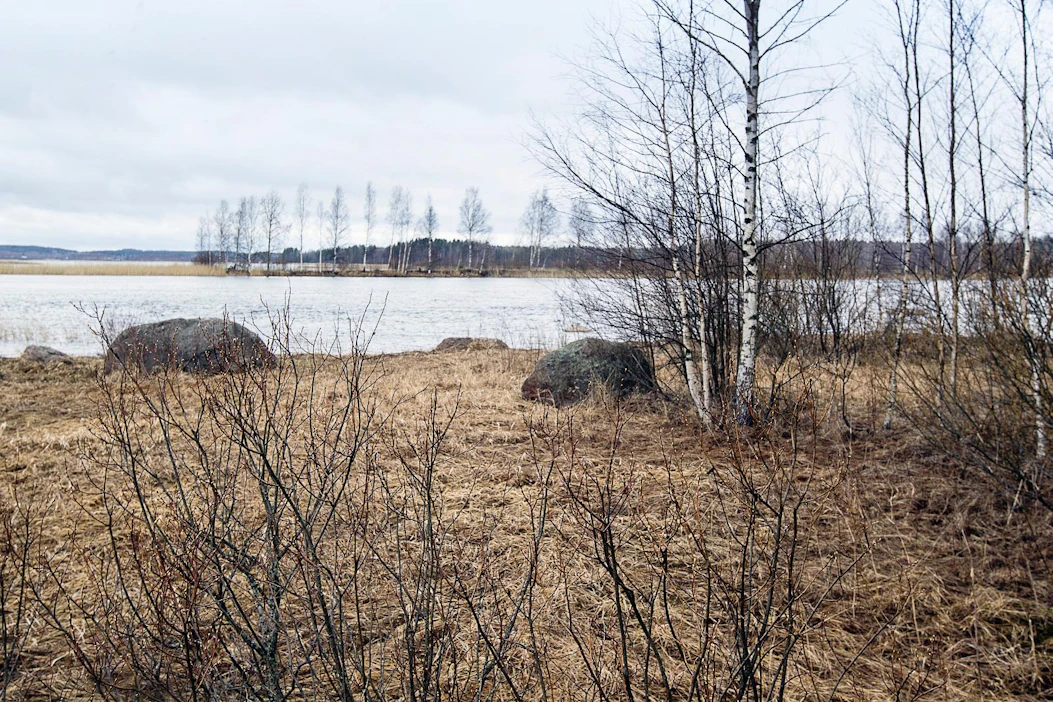 Meren pinta oli 115 000 vuotta sitten 6—9 metriä nykyistä korkeammalla. Silloin maapallolla oli viimeksi yhtä lämmintä kuin nyt.