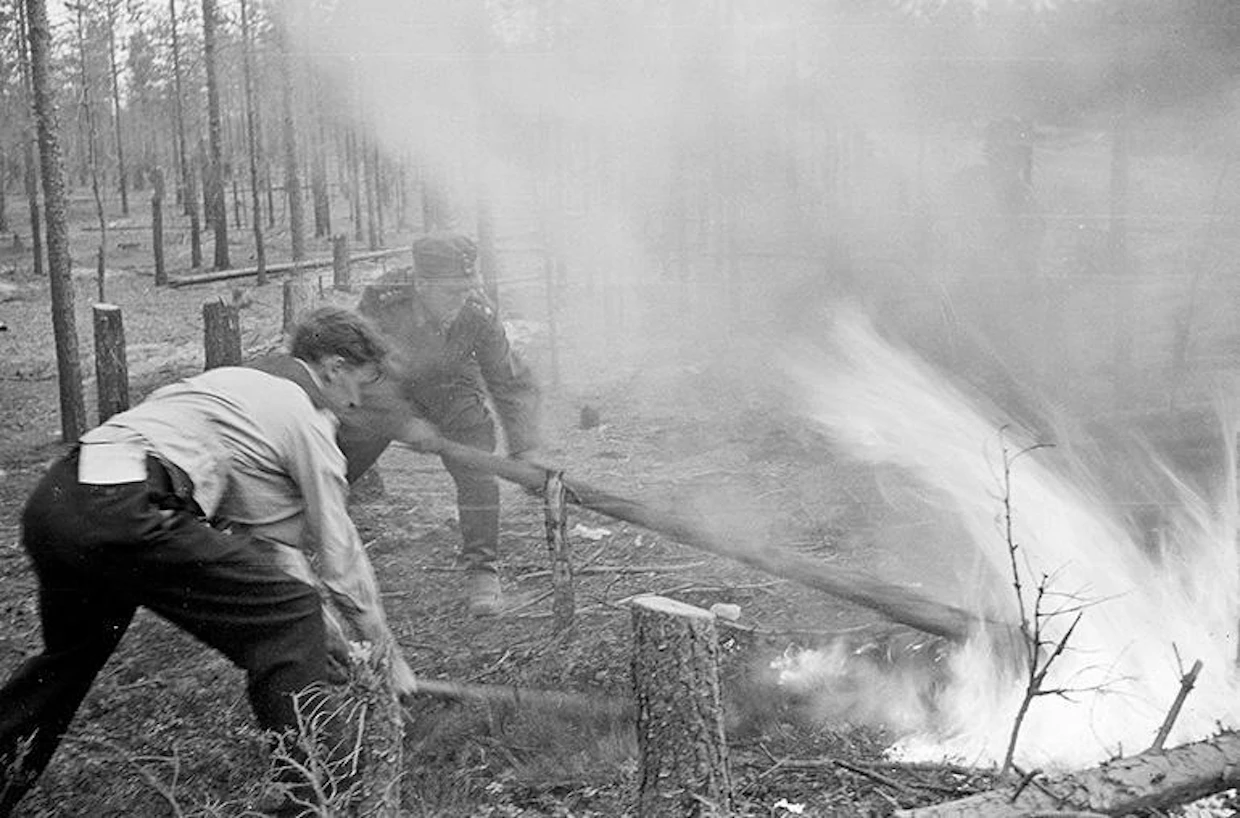 Metsäpalon sammuttamista sotatöiden lomassa jatkosodan aikana.