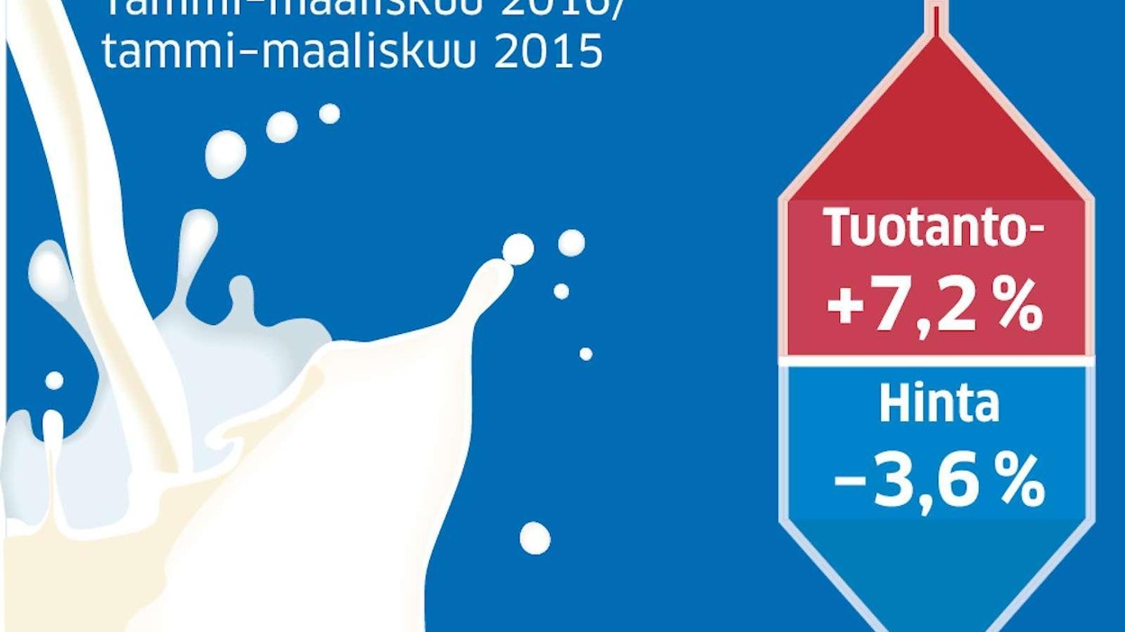 Tuotantomäärä on kasvanut ja tuottajan saama hinta laskenut vuodenvaihteen jälkeen, kun maitomarkkinat vapautuivat EU:ssa.