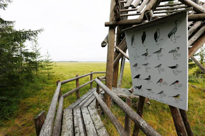 Ennallistaminen ja luonnonhoito on kustannustehokas tapa ylläpitää erilaisia elinympäristöjä.