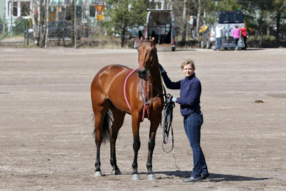 Tässä hoitajansa Barbara Aebischerin kanssa Vermon Finlandia-ajon alla poseeraava Uza Josselyn on menossa Elitloppetiin edustamaan kotimaataan Sveitsiä.