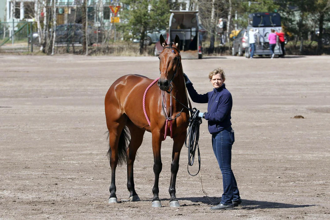 Tässä hoitajansa Barbara Aebischerin kanssa Vermon Finlandia-ajon alla poseeraava Uza Josselyn on menossa Elitloppetiin edustamaan kotimaataan Sveitsiä.