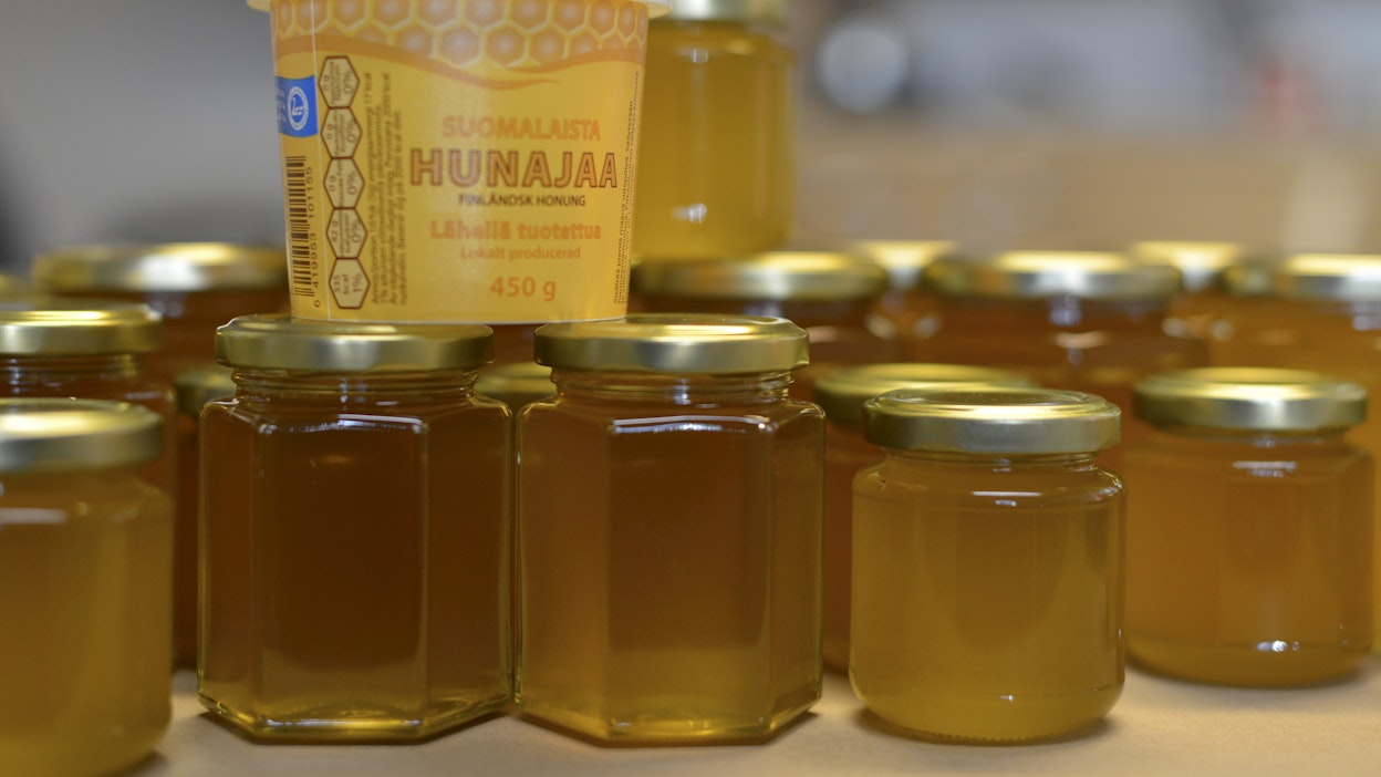 EU-alueelle tuodussa hunajassa on havaittu epäilyttäviä eriä. Kuvassa kotimaista hunajaa. Suomalaisia toimijoita ei ole epäilty hunajan väärentämisestä.