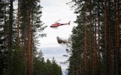 Metsänlannoitus voi lisätä kivennäismaiden puiden kasvua jopa 12–20 kuutiota hehtaarilla.
