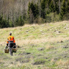 Metsitystukea voidaan myöntää alueen ominaisuuksista ja metsitystavasta riippuen 1 900–2 900 euroa per hehtaari.