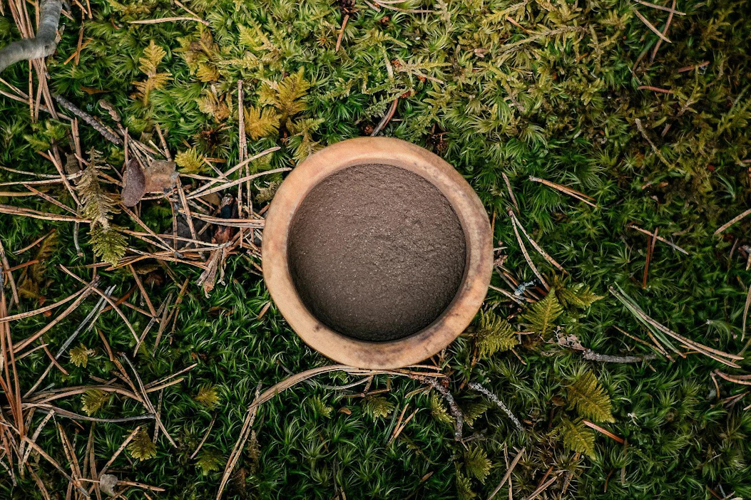 Suomalaisen metsän mikrobeista kehitetty jauhe voi antaa terveydelle hyödyllisen luontokosketuksen maailman metropolien asukkaille.