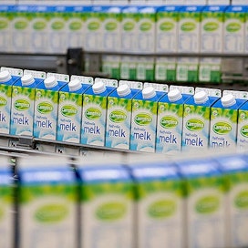 Friesland Campinan omistaa noin 18 650 maidontuottajaa Hollannissa, Saksassa ja Belgiassa. Tuotantoa on 34 maassa ja vientiä yli sataan maahan.